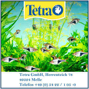 Sponsor Tetra